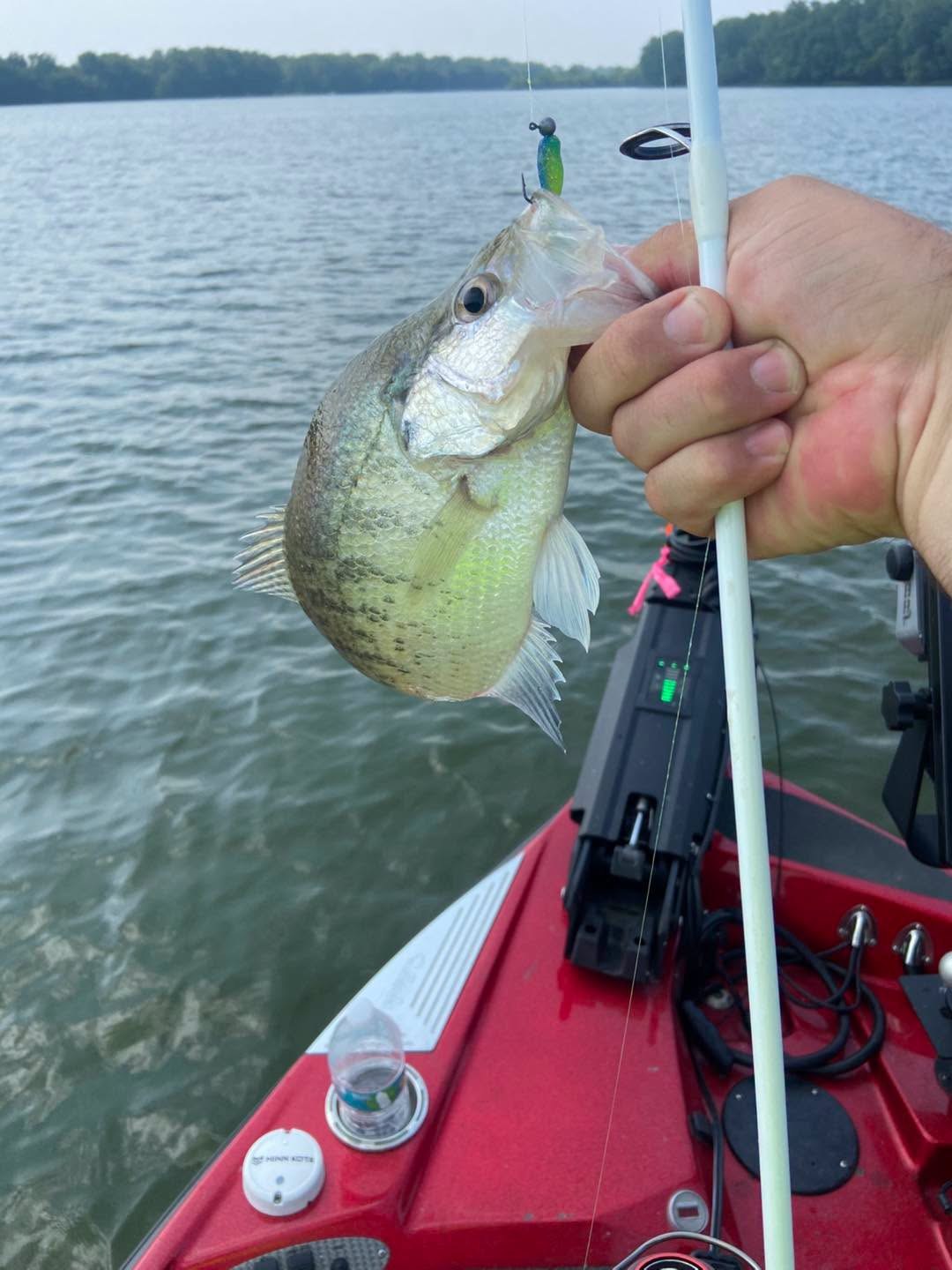Crappie caught on a Nasty Nate's jig, held over the boat deck